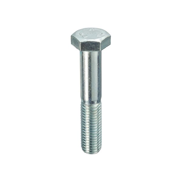 M6 Bolts