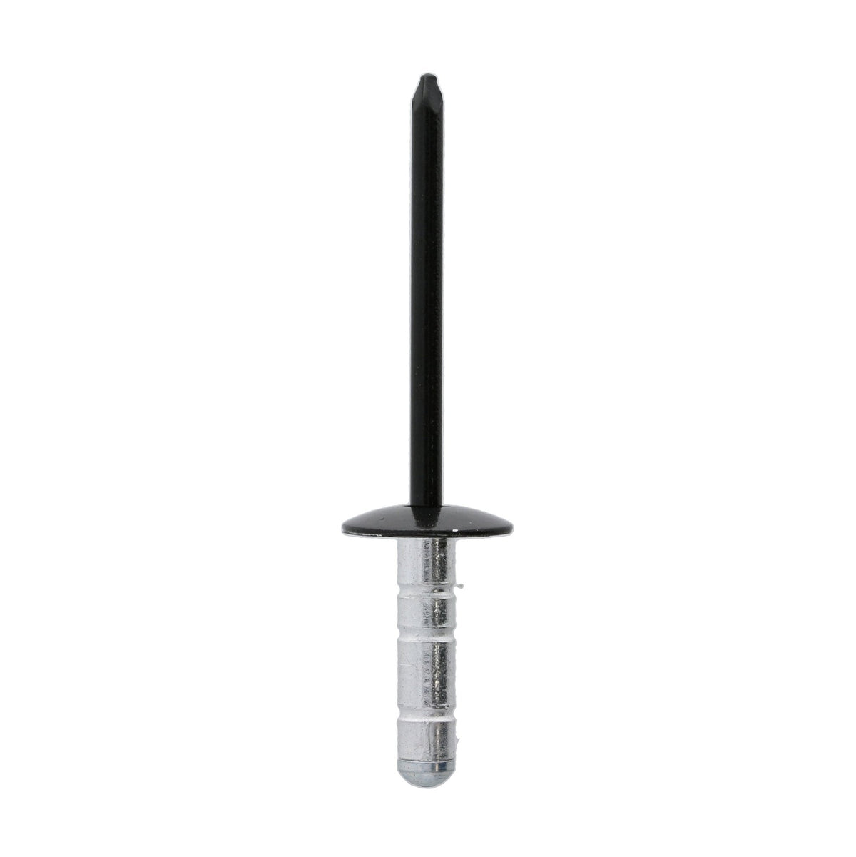 Blind Rivet, 4mm Hole, 12mm Black Collar - image 2