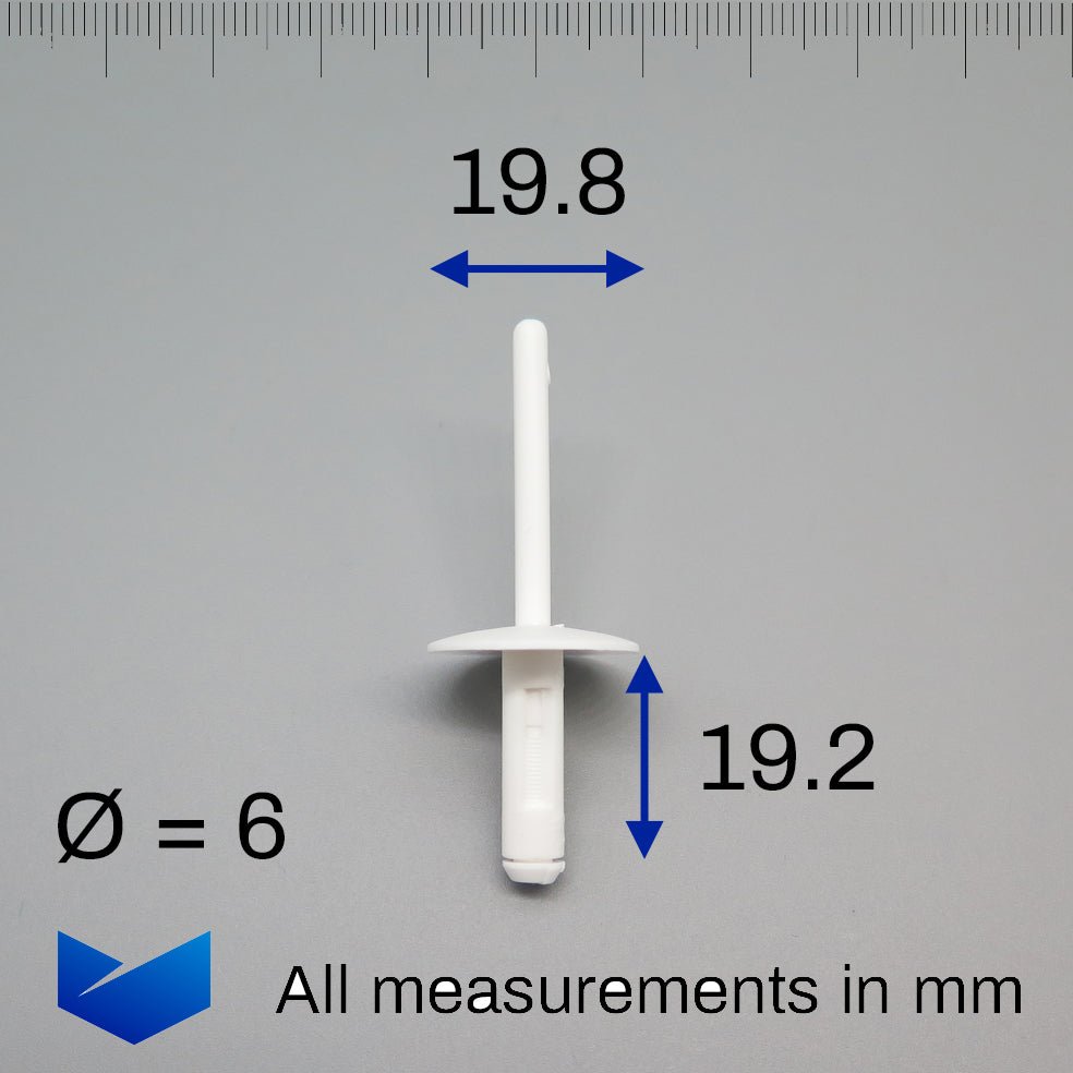 Blind Rivet, White - image 2