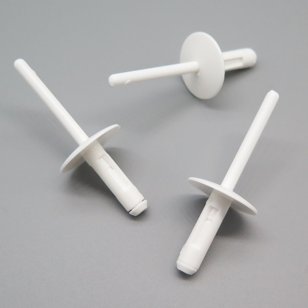 Blind Rivet, White
