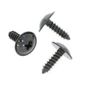 Screw, Metal