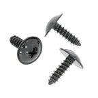 Screw, Metal