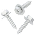 Body Screw