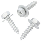 Body Screw