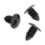 Fir Tree Clip