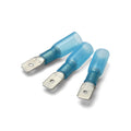 6.3 x 0.8mm Blue Heatshrink Male Push-On Terminal - Pack of 100
