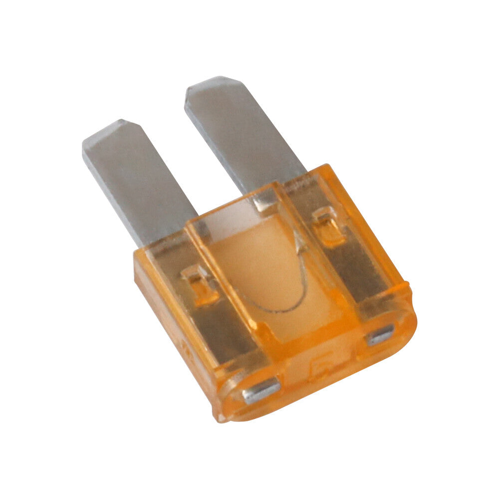 Micro 2 Blade Fuses  30 Amp
