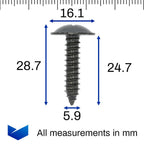 Body Screw, Black - image 2