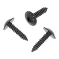 Body Screw, Black
