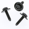 Torx Head Screw, M6, 30mm
