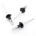 Blind Rivet, Black Collar