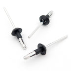 Blind Rivet, Black Collar