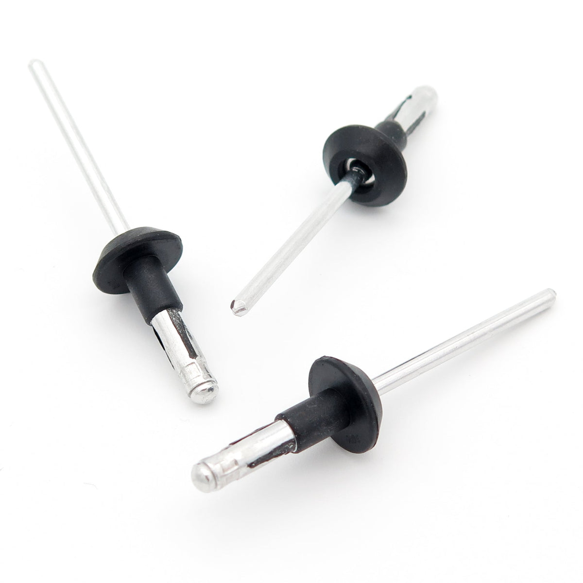 Blind Rivet, Black Collar