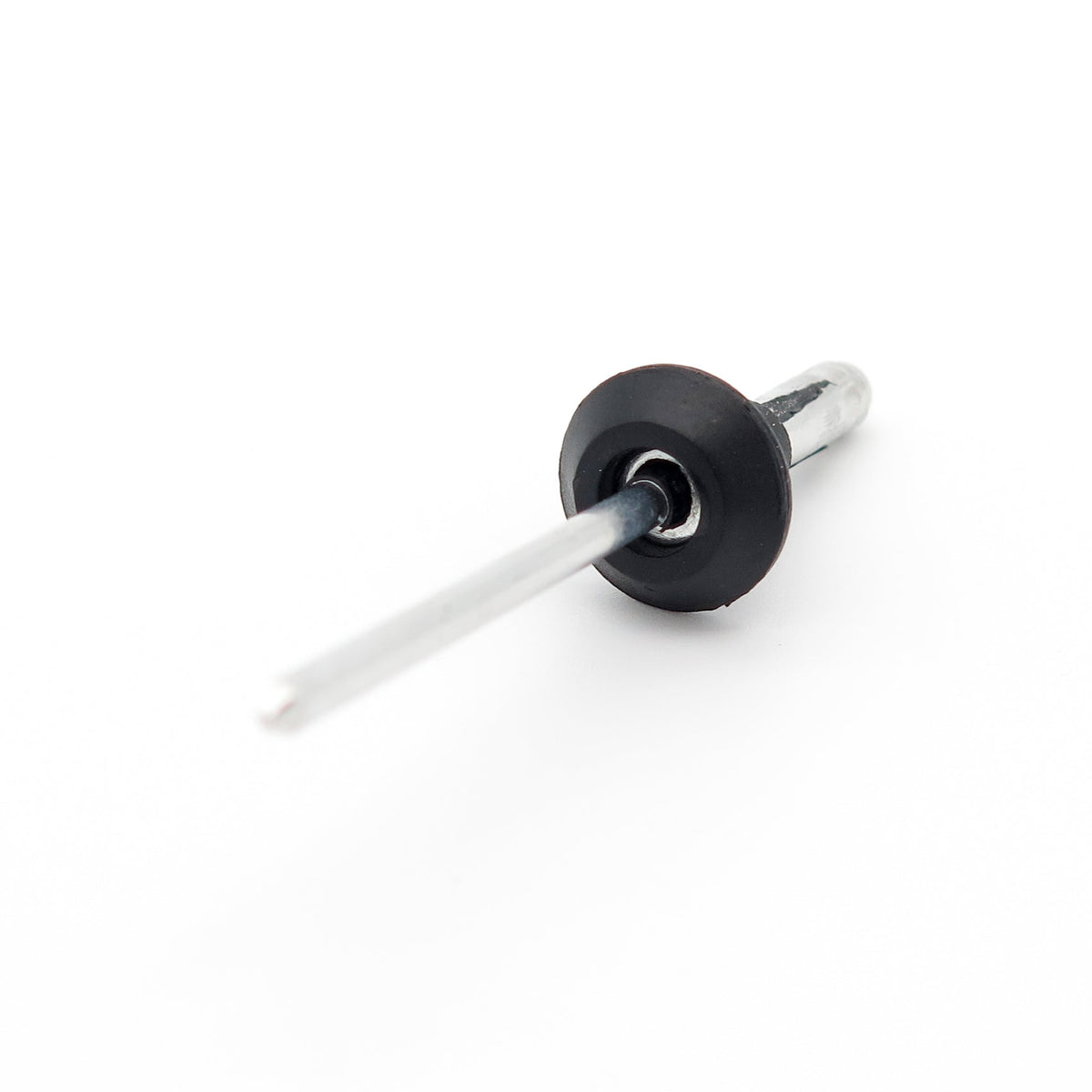 Blind Rivet, Black Collar - image 3