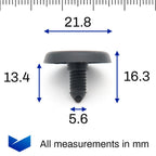 Screw Plug Caps, Black - image 2