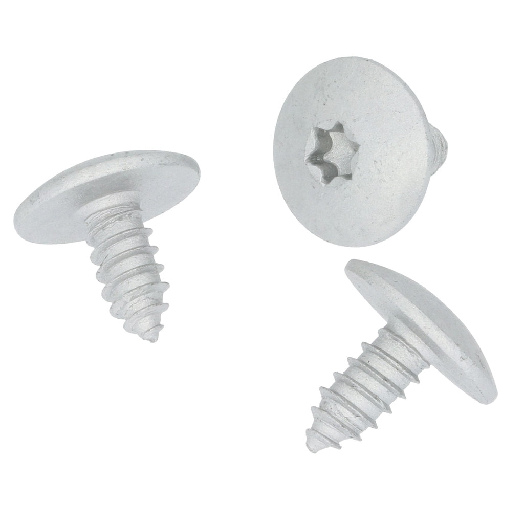 Metal Screw, Torx Head