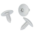 Metal Screw, Torx Head