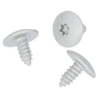 Metal Screw, Torx Head
