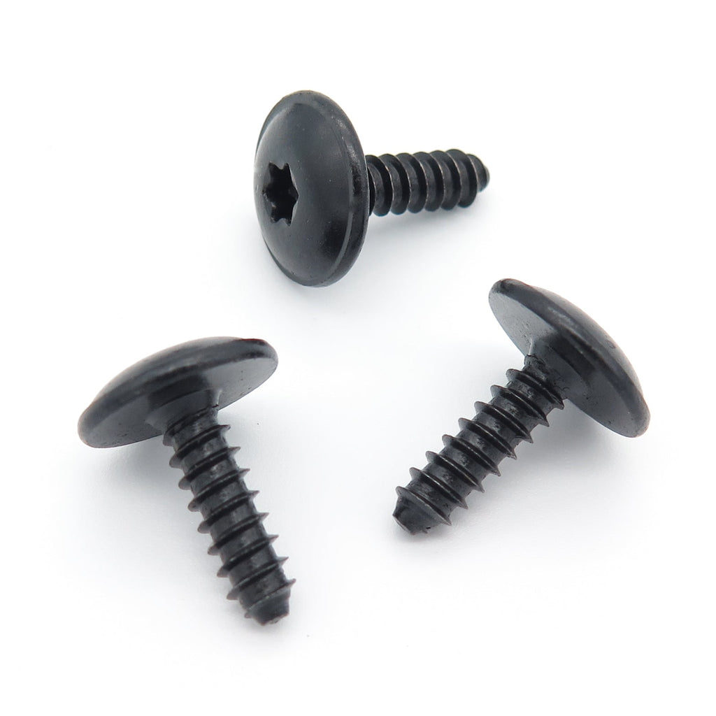 Metal Torx Headed Screw, Black