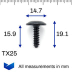 Metal Torx Headed Screw, Black - image 2