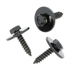SEM Screw with Washer